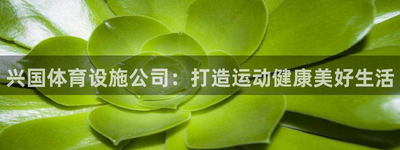 尊龙d88官网可靠送38元