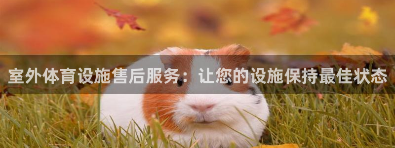 尊龙官网网站