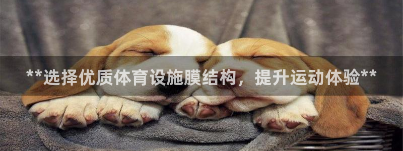尊龙集团有限公司官网