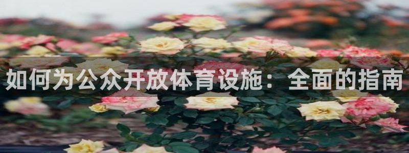 尊龙人生就是博登陆