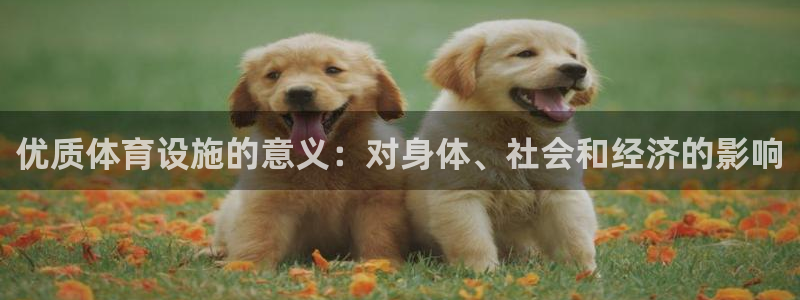 尊龙游戏官网游戏特色