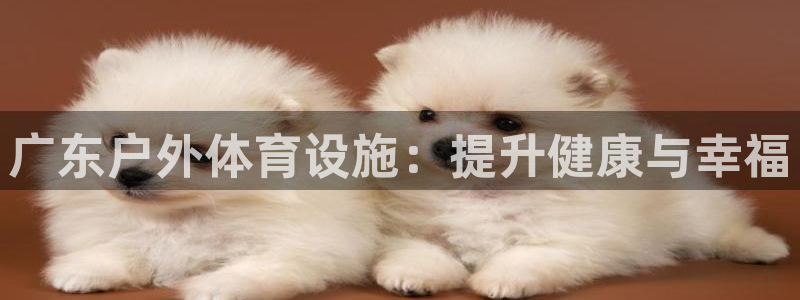 尊龙凯时正规吗