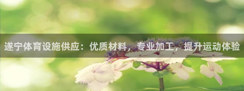 d88尊龙官方网