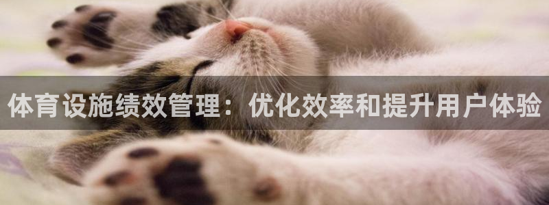 凯时k88最新