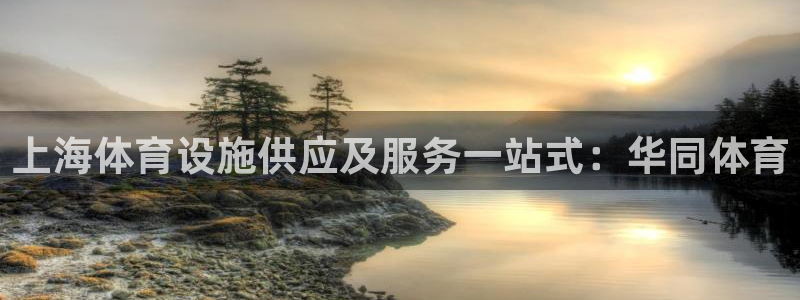 尊龙体育电竞官网