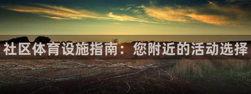尊龙游戏官网