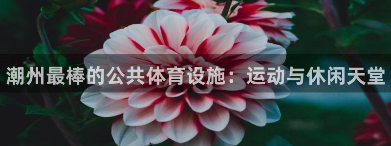 尊龙官方身高