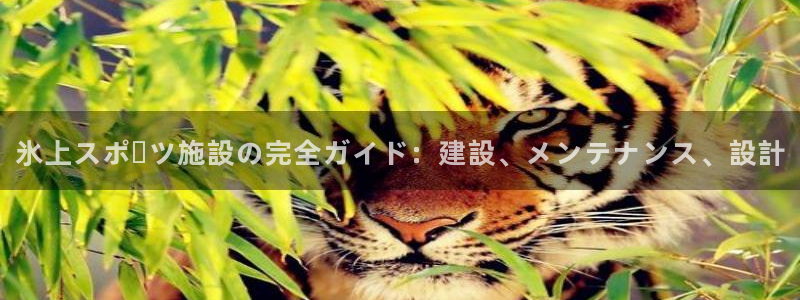 尊龙凯时老板是谁