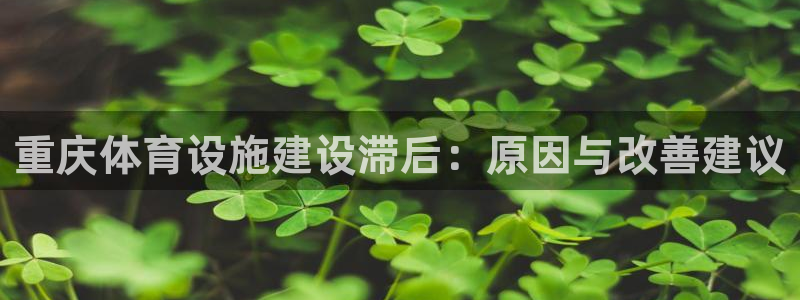 尊龙手机官方客户端下载安装