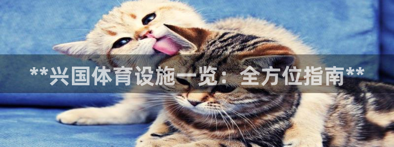 尊龙官网在哪里
