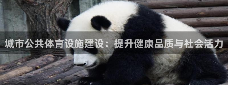 尊龙新版手机app下载