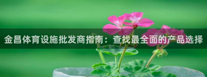 尊龙游戏app官方网站