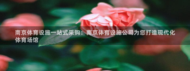 尊龙凯时论坛