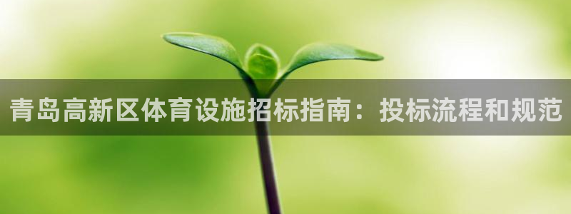 尊龙ag旗舰官网