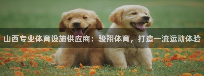 ag尊龙凯时集团