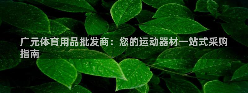 尊龙用现金一下可靠送38元