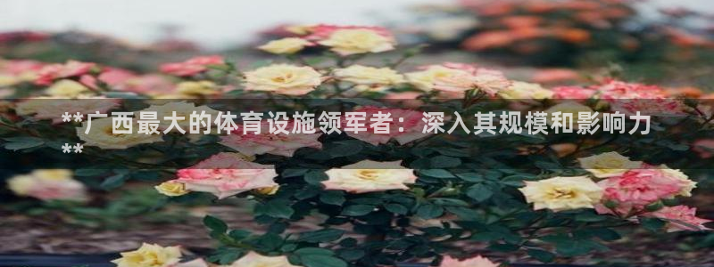 凯时kb88会员登录
