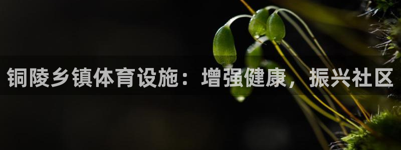 凯时登录界面