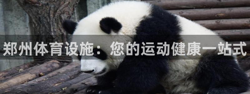尊龙物流怎么样