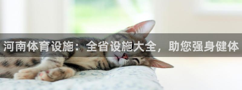 凯时ag旗舰厅