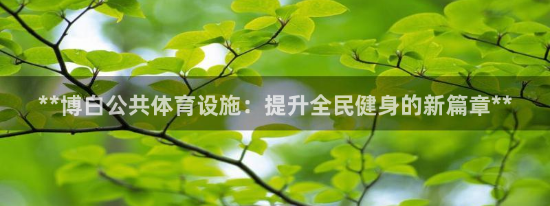 尊龙凯时一人生就是博官网