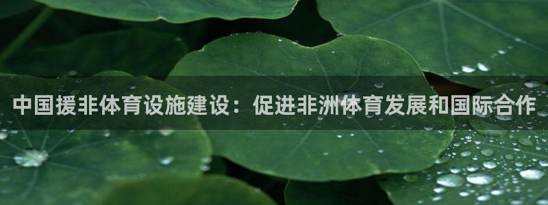 尊龙凯时旗舰厅百家乐下载