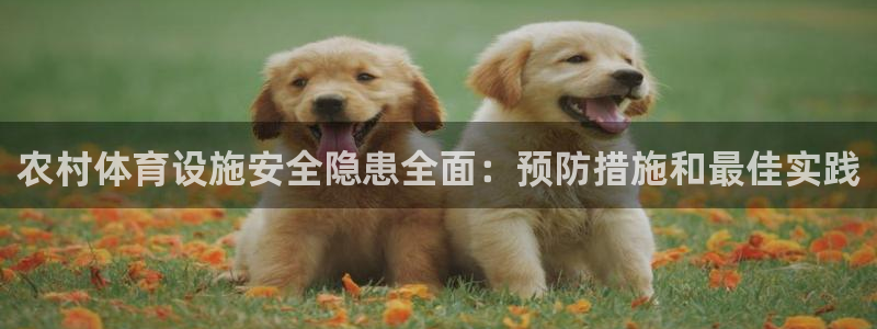 尊龙服饰有限公司地址