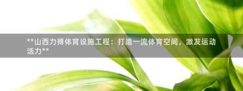 凯时登录平台去AG发财网