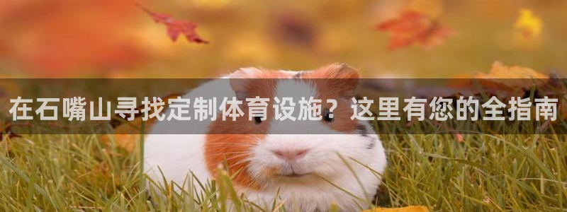 尊龙凯时网