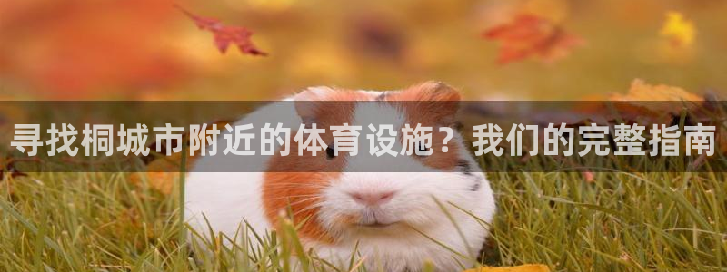 尊龙凯时几百万怎么下