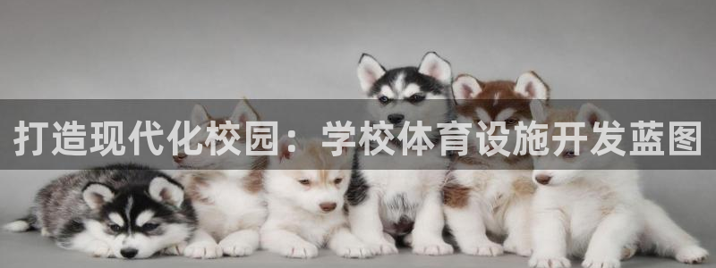 尊龙凯时·中国官方网站