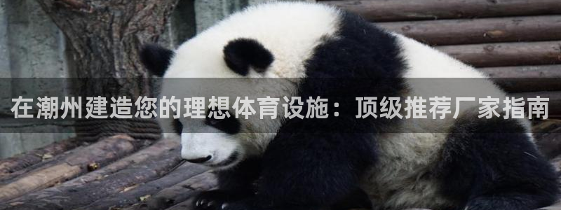 z6尊龙官方网站
