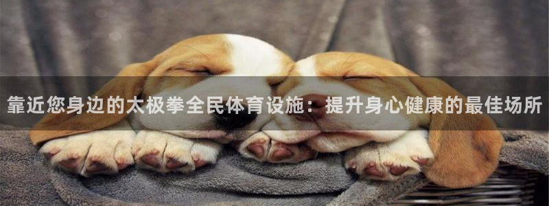 凯时官网手机版首页