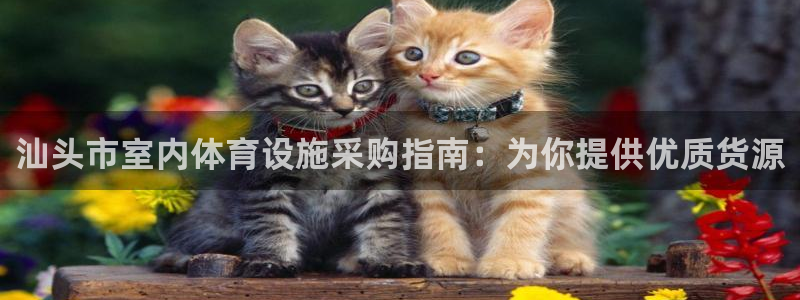尊龙凯时人生就是博·(中国)官网首页