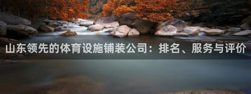 尊龙官网手