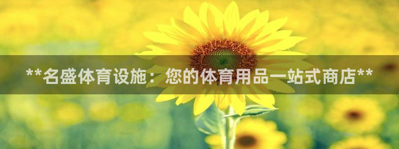 尊龙官网手机版