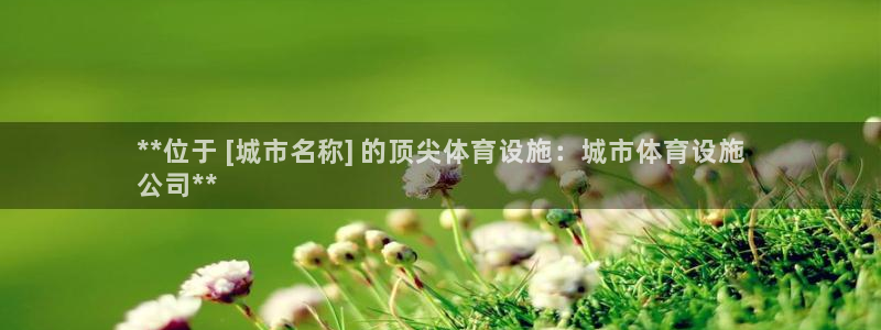 尊龙app|首选agdaohang