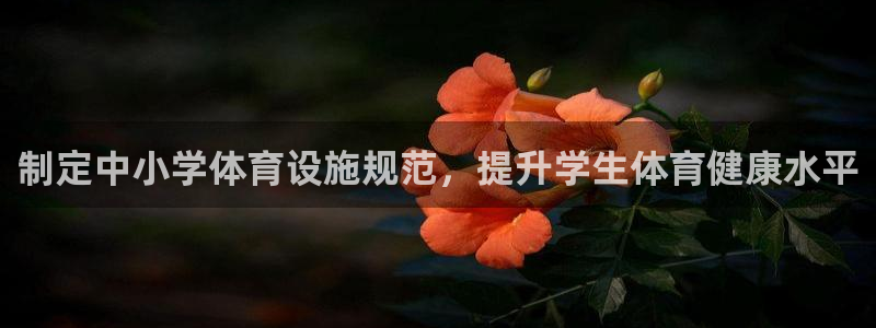 z6com尊龙凯时代理