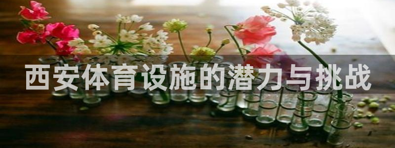 尊龙凯时泰安