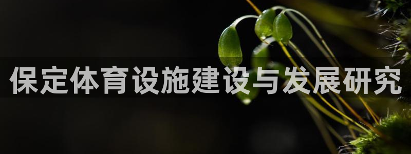 尊龙凯时 - 人生就是搏有假吗