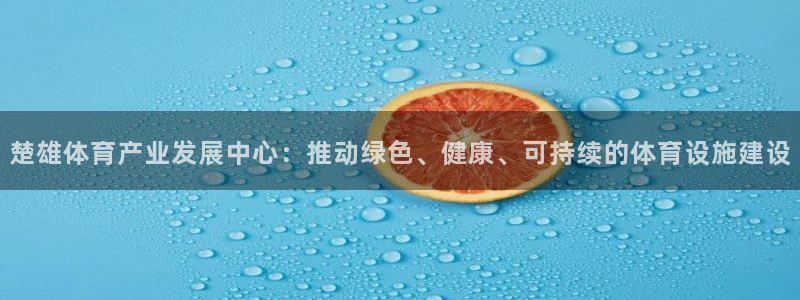 凯时官网手机版下载