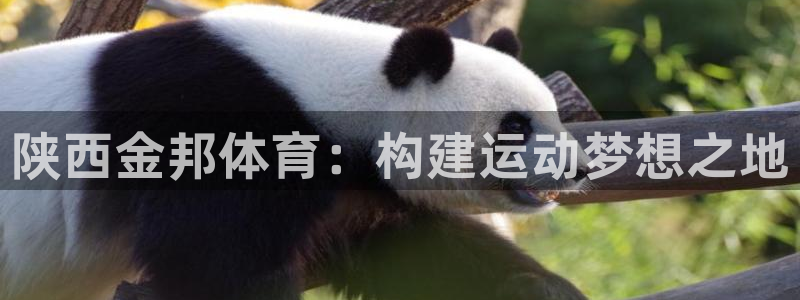 尊龙凯时能做退米么