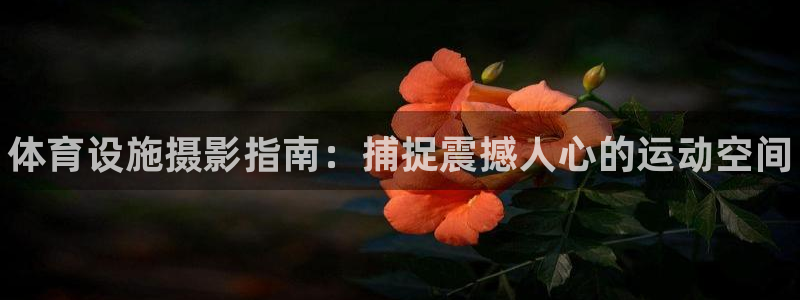 尊龙网址是选访问zd207