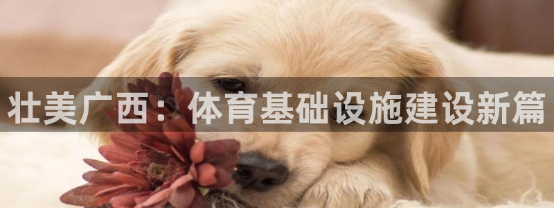 凯时平台怎么样