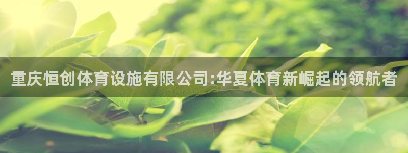 尊龙t400和尊龙t300区别