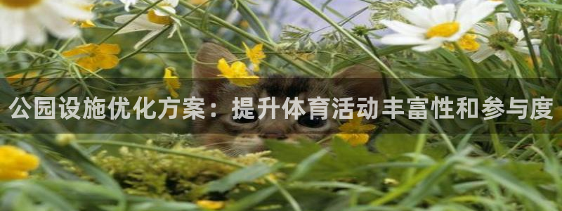 尊龙ag旗舰厅下载