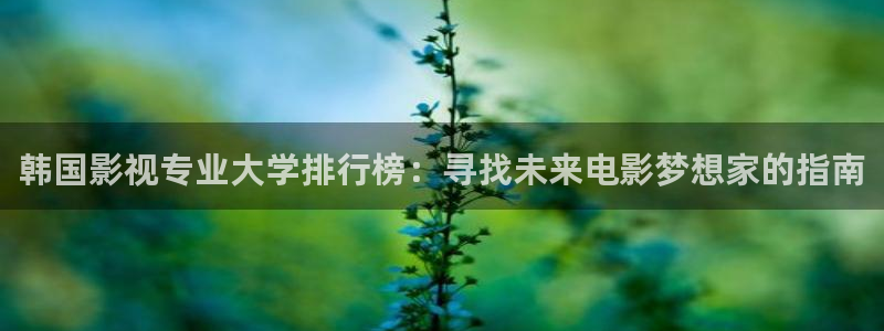 悟空视频app：韩国影视专业大学排行榜：寻找未来电影梦想家的指南