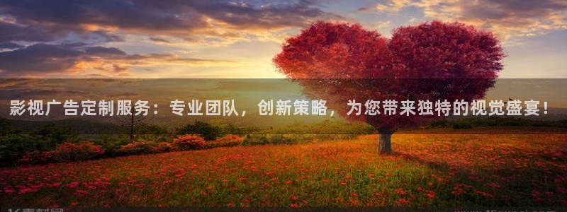 悟空影视免费：影视广告定制服务：专业团队，创新策略，为您带来独特的视觉盛宴！