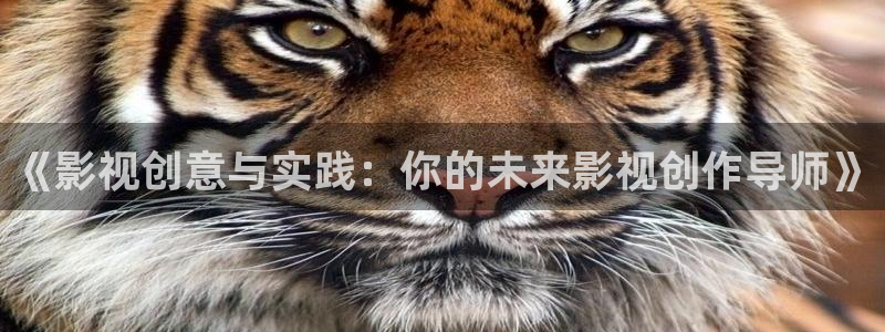 悟空tv在线视频：《影视创意与实践：你的未来影视创作导师》