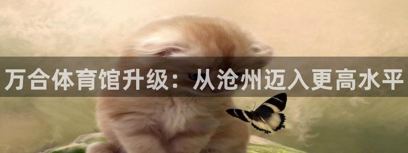 尊龙凯时有没有出不了款的情况